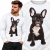 BLUZA  ZWIERZĘTA FRANCUSKI DOG